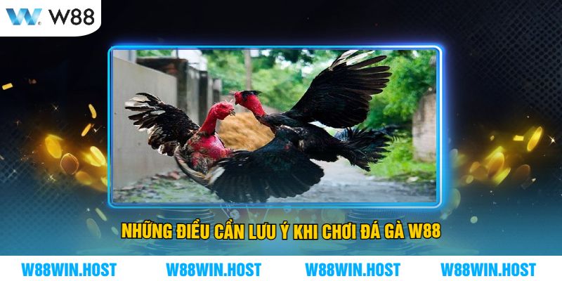 Những điều cần lưu ý khi chơi Đá Gà W88