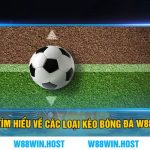Tìm hiểu về các loại kèo bóng đá W88