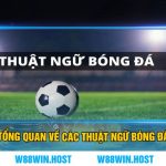 Tổng Quan Về Các Thuật Ngữ Bóng Đá