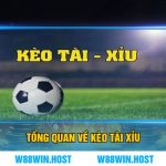 Tổng Quan Về Kèo Tài Xỉu