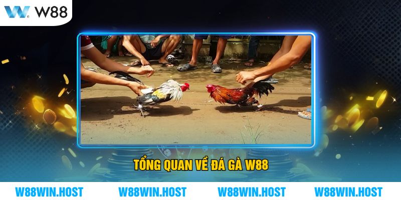 Tổng quan về Đá Gà W88