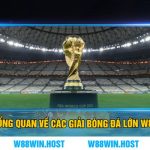 Tổng quan về các giải bóng đá lớn W88
