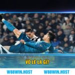 Vô lê là gì?