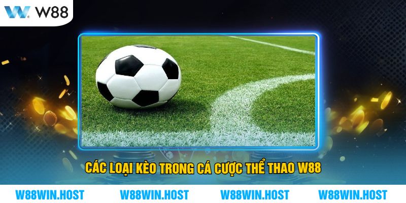 Các loại kèo trong cá cược thể thao W88