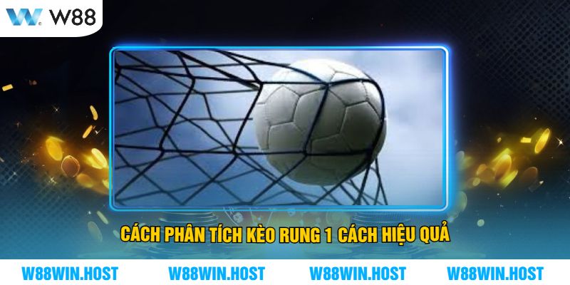 Cách phân tích kèo rung 1 cách hiệu quả