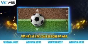 Tìm hiểu về các loại kèo bóng đá W88