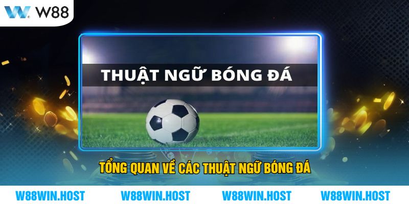 Tổng Quan Về Các Thuật Ngữ Bóng Đá