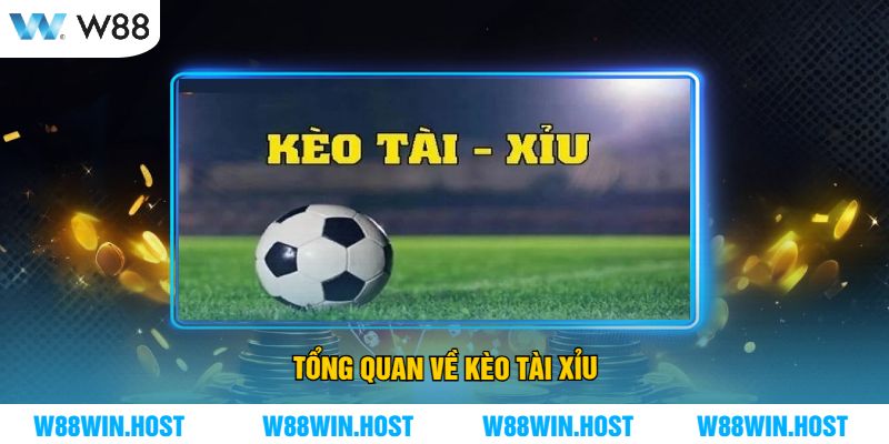 Tổng Quan Về Kèo Tài Xỉu